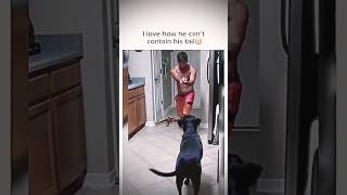 Still waggling dog pets funnycomedy shorts trend [upl. by Yannodrahc]