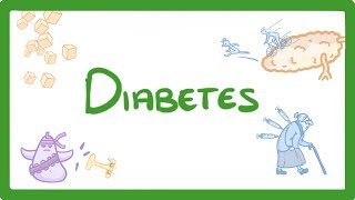 GCSE Biology  Type 1 vs Type 2 Diabetes  What is Diabetes and How to Treat It 57 [upl. by Notelrahc]