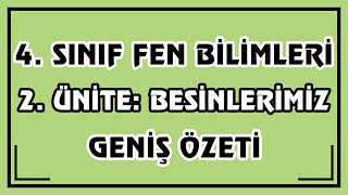 4Sınıf Fen Bilimleri 2 Ünite  Besinlerimiz Geniş Özeti  Canlı Ve Ayrıntılı Anlatım [upl. by Hathcock]