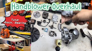 🔧Overhaul One Hand Blower Eb260 Tukar Block Kit dan Bearing Crankshaft🍂🍃 [upl. by Analem514]