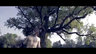 FUROR GALLICO  Song Of The Earth official video [upl. by Hew660]