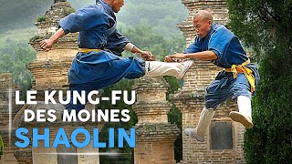 Les Techniques de Kung Fu des Moines Shaolin  Reportage COMPLET Arts Martiaux [upl. by Nosnehpets942]