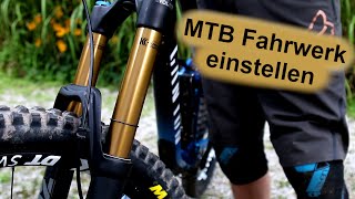 Federung am MTB in 5 Schritten richtig einstellen [upl. by Acinorej740]