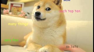 Doge Music Official soundtrack [upl. by Hsirrap]