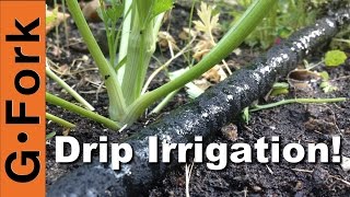 DIY Soaker Hose Drip Irrigation System  GardenFork [upl. by Yeldahc]