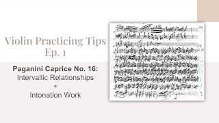 Violin Practicing Tips Ep 1 Paganini Caprice No 16 [upl. by Bedad]