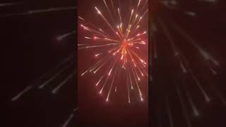 Diwali Anshika And Aarika show 🖤💗sanatandharam sanatangods ytshorts [upl. by Melesa]