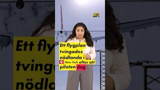 Flyg tvingades nödlanda – pilot dog [upl. by Tad]