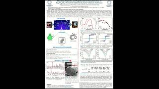 Ni50Mn37Sb13 Microwires Obtained by TaylorUlitovsky Technique IMRC2024 [upl. by Millard542]