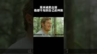 可悲的是被救出前，他甚至不知道自己的种族movie 漫威 [upl. by Lerak245]