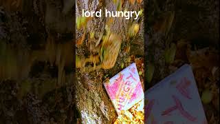 shorts trippy food howto art vtuber TRIPPY IN THE WICKED WOODS [upl. by Eifos471]