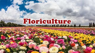 INTRODUCTION TO FLORICULTURE [upl. by Cruickshank552]