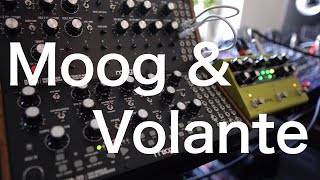 Moog Mother 32 amp DFAM with Strymon Volante  Electronic cloud [upl. by Nylimaj53]