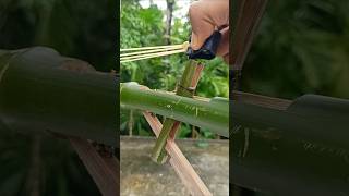 Bamboo creations with old slingshots bamboo diy bamboocrafts Banboosrt [upl. by Ovatsug]