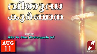 SUNDAY HOLY MASS LIVE  6 AM 11 AUG 2024Fr Alex Chalangady VCMALAYALAM QURBANATODAYGOODNESS TV [upl. by Birkner323]