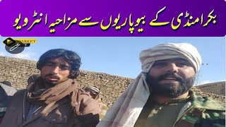 Quetta bakra mandi interview bakramandi [upl. by Ettevets566]