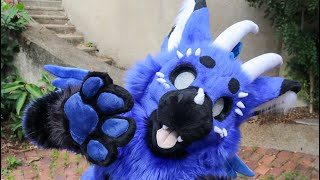 Fathom the Dutchie  FURSUIT FEATURE [upl. by Annam]