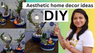 Aesthetic home decor DIY  Plants decoration ideas at home  DIY Terrace garden ideas [upl. by Anyat]