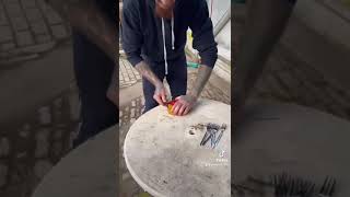 Stinkefisch surströmming ist garnicht so schlimm 🙈😂 [upl. by Haliak]