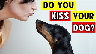 Do You Kiss Your Dog The Surprising Truth Everyone Should Know [upl. by Ewan]