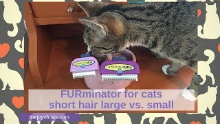 FURminator for cats short hair large vs small  Cat Chat with Heidi [upl. by Annhej]