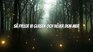 Mr DUNK  NU HÖJER VI GLASEN RÖDLUVAN Official Lyric Video [upl. by Monty716]