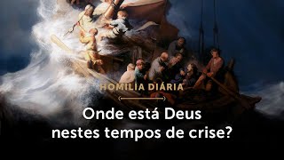 Homilia Diária  As crises da Igreja e a nossa confiança em Deus Sábado da 3ª Sem do Tempo Comum [upl. by Bevers]