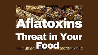 Aflatoxins The Invisible Threat in Your Food [upl. by Lehman]