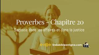 Proverbes  chapitre 20  Sagesse dans les affaires et dans la justice livreaudiogratuit bible [upl. by Tiebold]