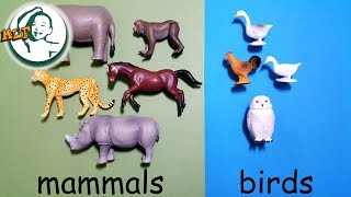 Learn animal classification and animal sounds for kids with Tomy Ania Animal part 2 アニア アニマルだ [upl. by Ydasahc]