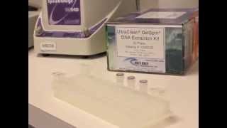 UltraClean GelSpin DNA Extraction Kit Visual Protocol [upl. by Jeth216]