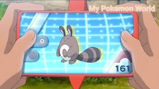 Sentret Pokedex Entry Pokemon Journeys [upl. by Huntley]