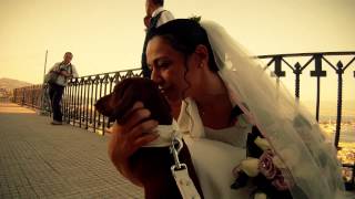 WEDDING FILM CANE PORTA LE FEDI  FILMINO DEL MATRIMONIO DAL PUNTO DI VISTA DEL CANE [upl. by Nelyag431]