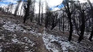 Checking out Grandjean after the Wapiti Fire scorched this landscape [upl. by Natalina45]