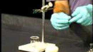 Organic Chemistry Lab Demo Isolation of Limonene part 2 [upl. by Casilda]