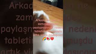 artık video paylaşıcam cat [upl. by Livy]