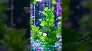 Discover the quirky truth about hydroponics Hydroponics PlantScience FunFact [upl. by Ecinev516]