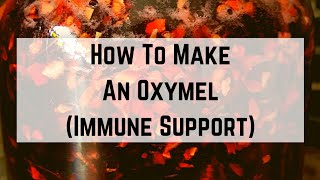 How To Make An Oxymel Immune Support [upl. by Levenson]