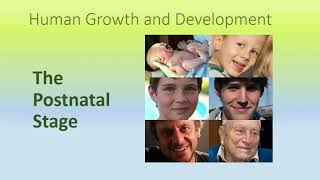 Course1 Stages of Human Growth and DevelopmentThe Postnatal Part I [upl. by Duquette214]