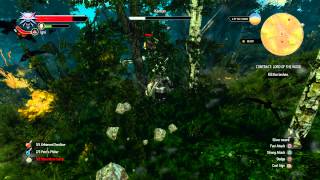 The Witcher 3  Contract Lord of the Wood Leshen quotKernunquot Cutscene amp Fight Black Unicorn Sword [upl. by Vowel]