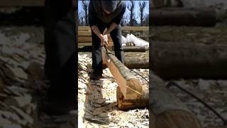 Hewing with a broad axe 16x speed hewing woodworking [upl. by Jumbala]