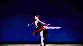 Tamara Rojo and Yoel Carreño Don Quijote Pas de Deux [upl. by Nosnarb643]