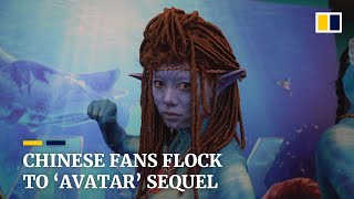 Chinese fans flock to watch ‘Avatar’ sequel despite Covid19 surge [upl. by Ariella]