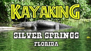 Kayak wGators amp Monkeys  Silver Springs FL [upl. by Edeline398]