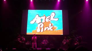 Ariel Pink  Live at The Wiltern Los Angeles 5172018 [upl. by Baudin]