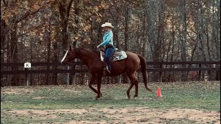 Elysian Fields Horse Show WJ Western Riding Chriss Nichols and Bacchus [upl. by Rachel]