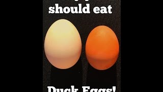 Why You Should Eat Duck Over Chicken Eggs [upl. by Huckaby221]