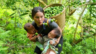 Harvest green lemons and sell them at the market  buy medicine for your sick child with high fever [upl. by Asilram]