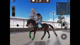 Horse let me lease blitz’sHorse2Plays strideway [upl. by Cornelia717]