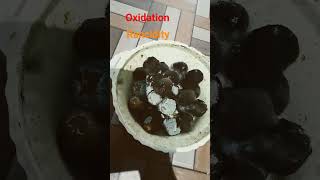 rancid oxidation rancidity science experiment sciencefacts shorts chemistry 💥👆🫵👍 [upl. by Atiuqcir]